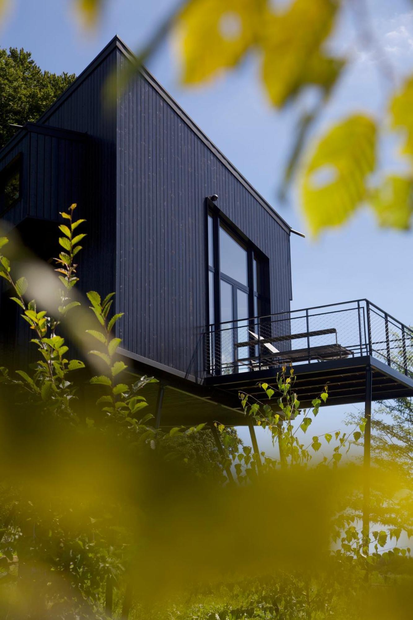 Villa Treeangle - K1 Baumhaus Odenthal Exterior foto